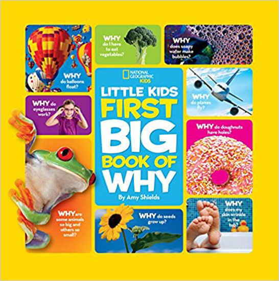Picture of Little Kids First Big Book Of Why - copy